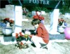 Valentine's Day 2006